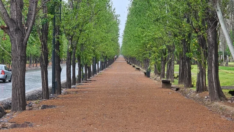 ¿Cuatro días seguidos de lluvias en Mendoza? El particular pronóstico para el resto de la semana